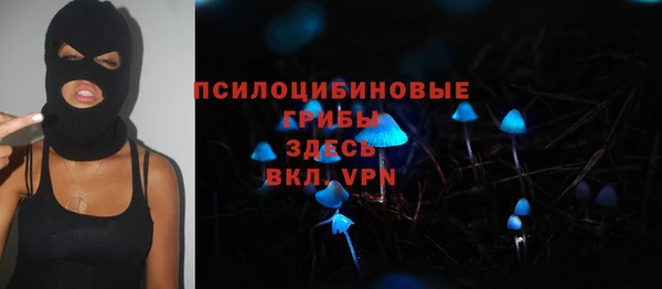 гашик Сосновоборск