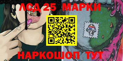 mdpv Камышлов
