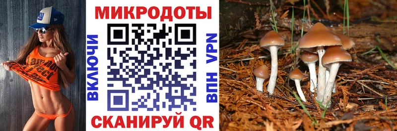 KRAKEN маркетплейс  Корсаков  Галлюциногенные грибы Cubensis 